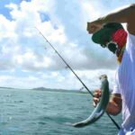 Essential Gear and Equipment for Fishing A Comprehensive Guide