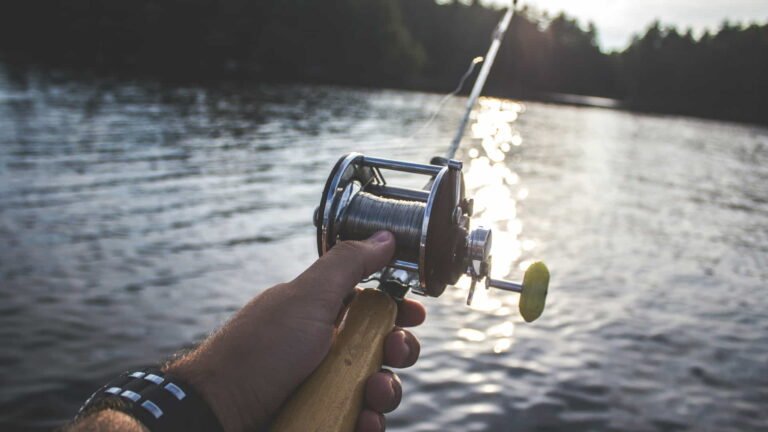 Mastering the Art of Fishing Techniques and Tips for Anglers